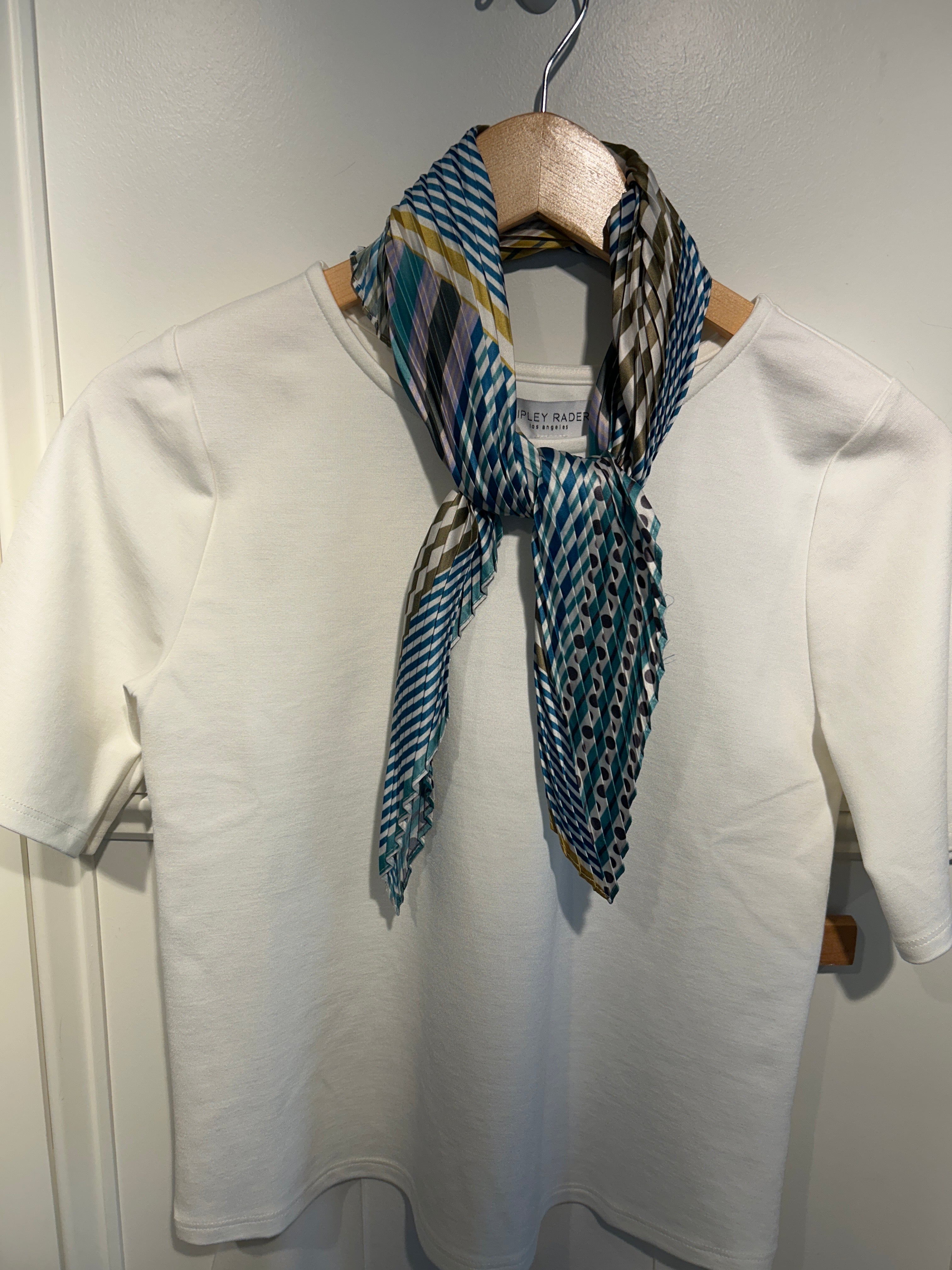 Echo Pleated Scarf