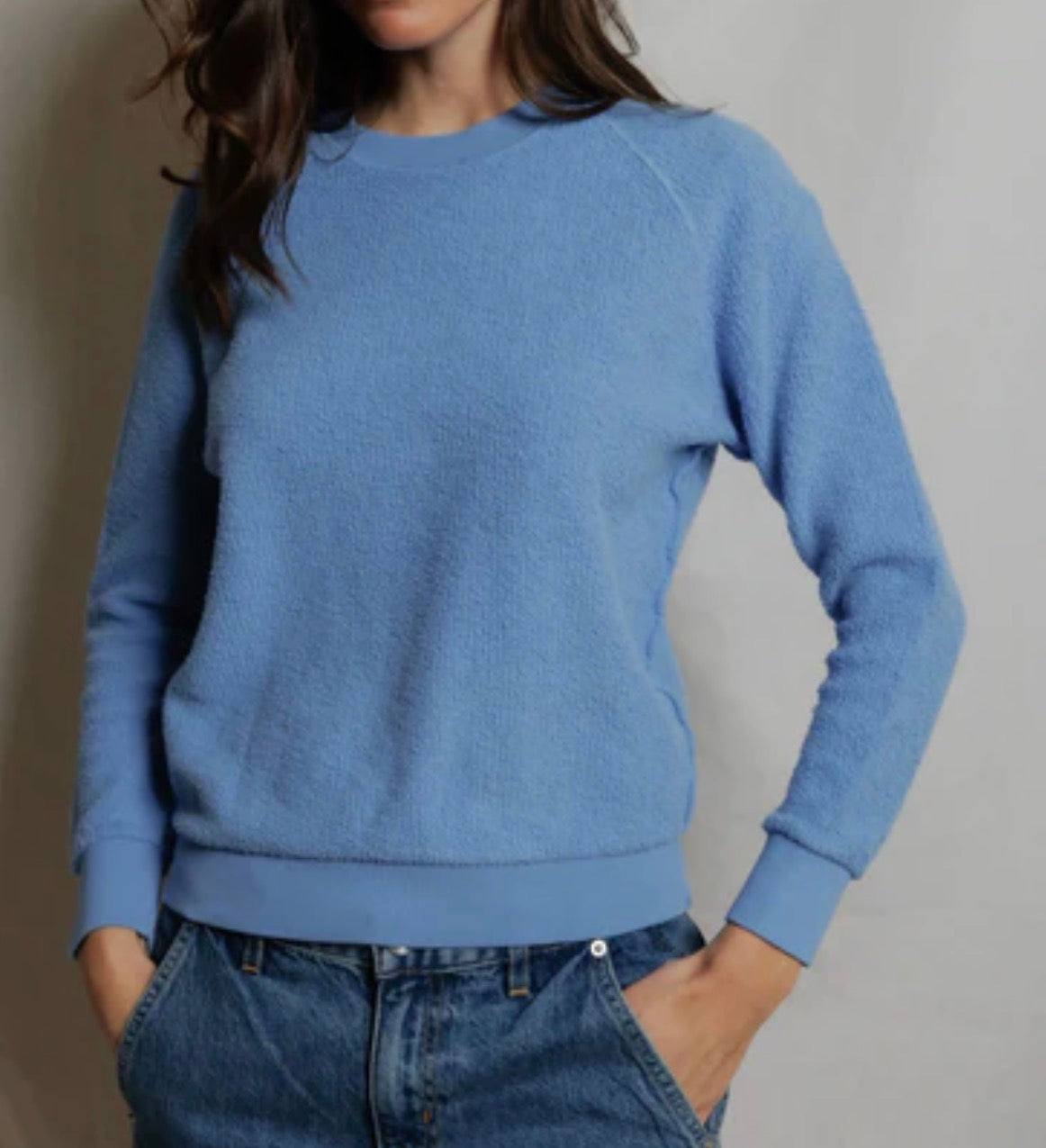 Perfect White Tee Ziggy Sweatshirt
