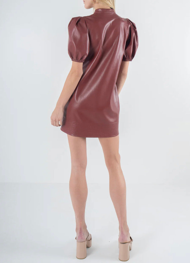 Emily McCarthy Hampton Dress Fired Brick Vegan Leather